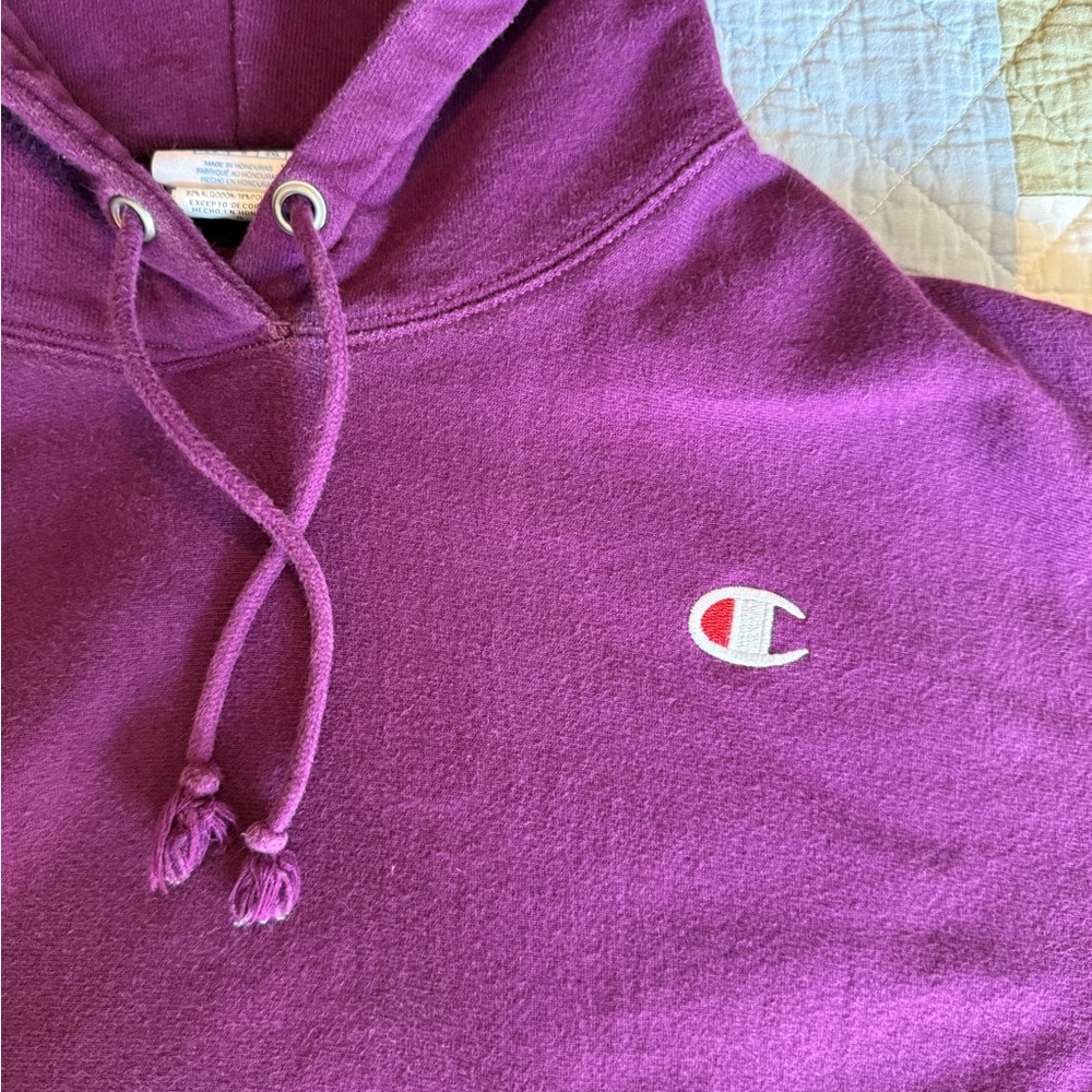 Champion Purple Hoodie